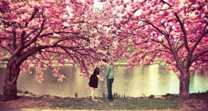 spring-blossom-love-kiss